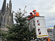 Schmücken des Christbaums aus Peiting mit 3000 Kerzen auf dem Marienplatz (©Foto. Martin Schmitz)